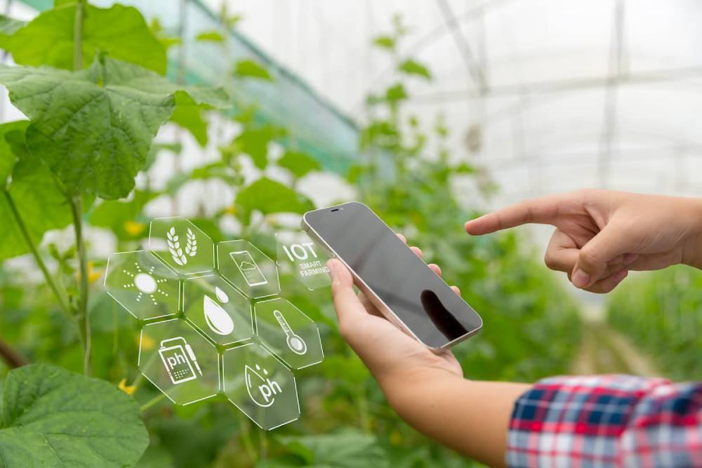 Agricoltura di precisione: Tecnologia per coltivazioni più efficienti