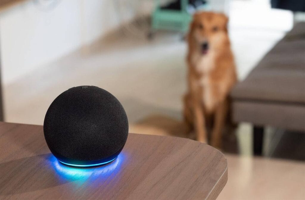 Alexa si spegne da sola? Risolvi il problema con questi consigli