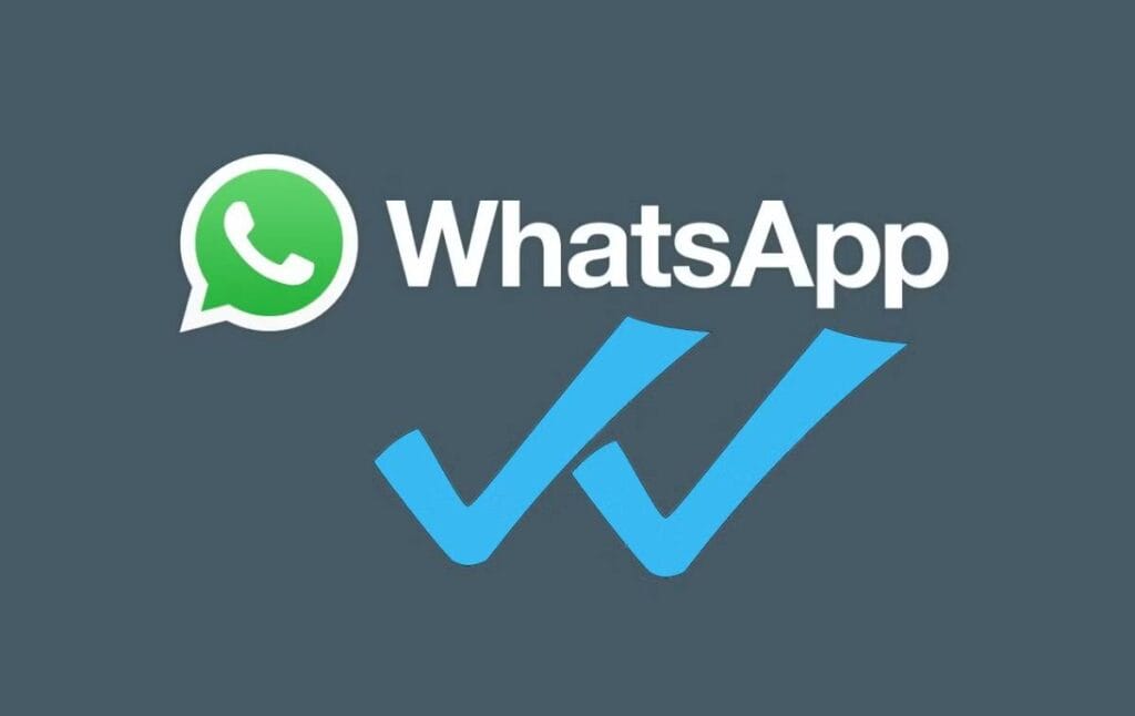 Whatsapp: spunte, privacy e messaggi. Facciamo chiarezza!